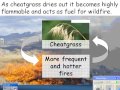 Biodiversity and Ecosystem Health