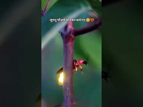 90s ki yaadein // bachpan ke din // childhood memories // bachpan ki yaadein// #90s #bachpan #viral