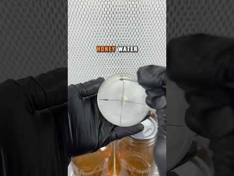 Grow ENDLESS Supply of Mushrooms With This Honey Water Trick! #shorts #shortvideo #growyourown