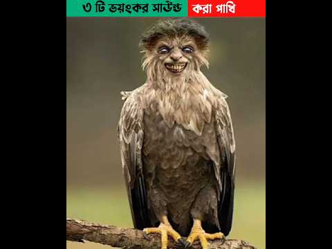 😱 ভয়ংকর আওয়াজ করা পাখি #shorts #short #facts #trending #viralvideo