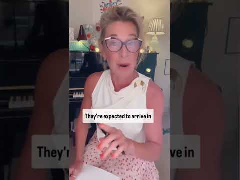 Katie Hopkins: Another one arrested for fire-bombing Keir Starmer’s home