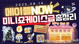 [한자] 메이플 미니 쇼케이스급 업데이트 및 이벤트 총정리! (8/14 메이플 나우 총정리 8월 업데이트/이벤트/직업 밸패/9~10월 로드맵/마라벨 등등) [메이플스토리]