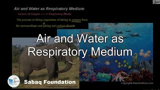 Air and Water as Respiratory Medium