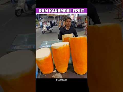 Reality Of Ram Kand Mool Fruit😱