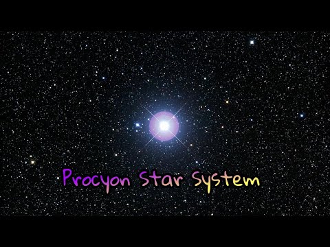 Procyon