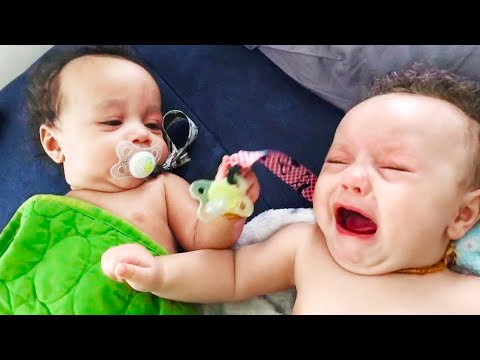 Siblings and Babies do Funny Things 👶👧 Funny Baby Videos || Cool Peachy🍑