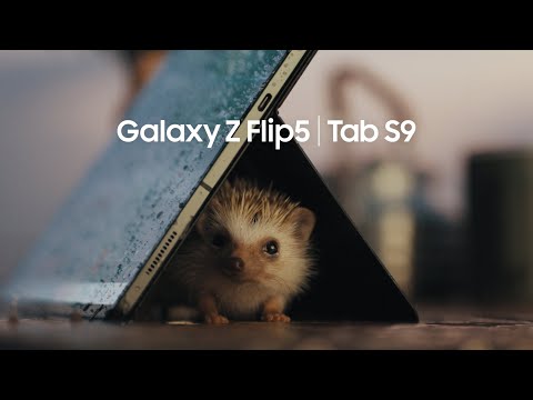 Galaxy Z Flip5 | Tab S9: Ecosystem Film | Samsung​