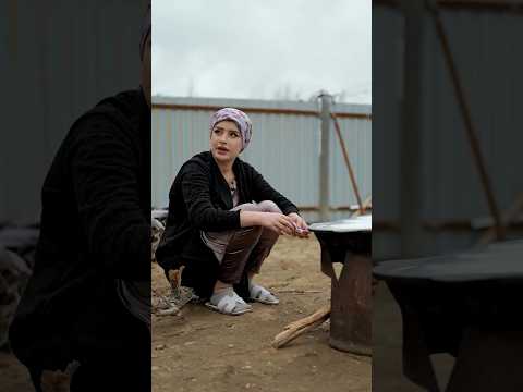 #душанбе #tajikistan #точикистон #кулоб #худжанд #рекомендации #хисор #помир #shorts