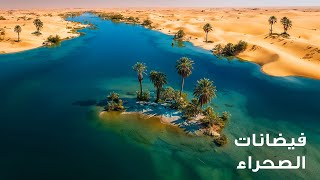 أكثر الاكتشافات الصحراوية غموضًا والتي لم يكن العالم مستعدًا لها