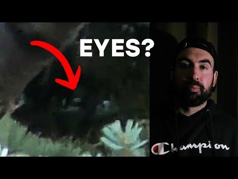 Baby Bigfoot Caught on Camera | Real or Hoax