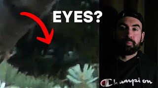 Baby Bigfoot Caught on Camera | Real or Hoax