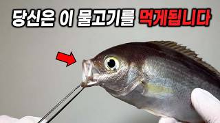 광어 대신 먹게 될 생선?! 수온상승으로 변하고 있는 해산물 ㄷㄷ