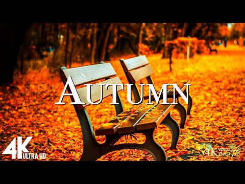 Autumn 4K - Scenic Relaxation Film With Calming Music ( 4k Video UltraHD )
