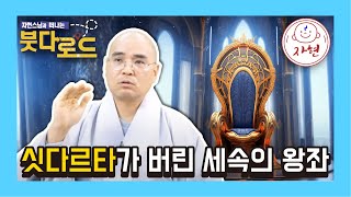 [붓다로드 시즌2-10] 왕이 될 운명 vs 붓다의 길_싯다르타의 위대한 선택!