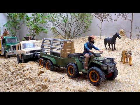 Fun toy trucks and dinosaurs | collection of toy cars, excavators for kids