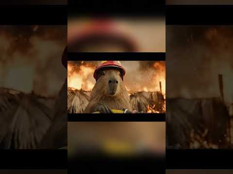 Capybara làm cháy chuồng heo của ông nội #capybara #phimhay #phimhoạthình #ai #funny #trending #veo3