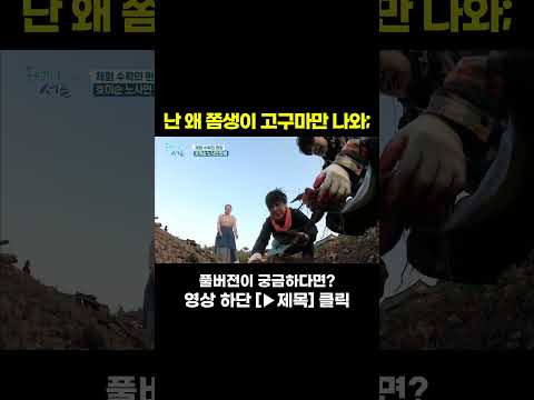 [STAR #Shorts] 이렇게 다르다고? #두번째서른
