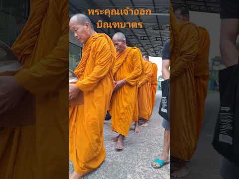 Monk of thailand #Shorts