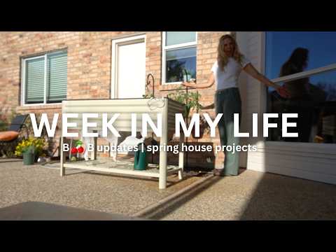 I was not expecting that! | Spring house projects | gardening