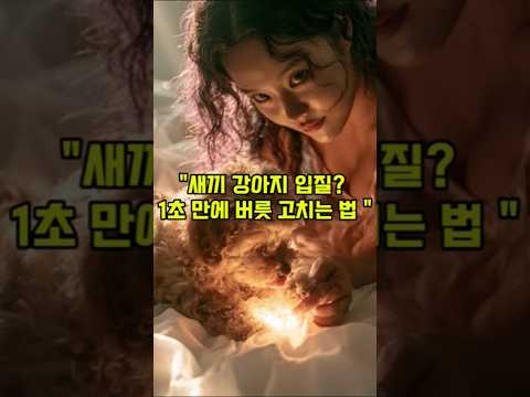 1초만에 버릇 고치는 법 #<strong>기장군</strong> #반려견 #걷기대회