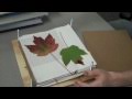 Flower Pressing Techniques and Materials