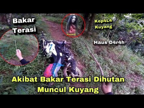 AKIBAT BAKAR TERASI DIHUTAN‼️ MUNCUL KEP4L4 KUYANG HAUS D4R44H TERBANG DIHUTAN 😱 TRABAS SENDEKALA