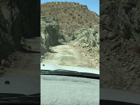 Out in the Desert shorts