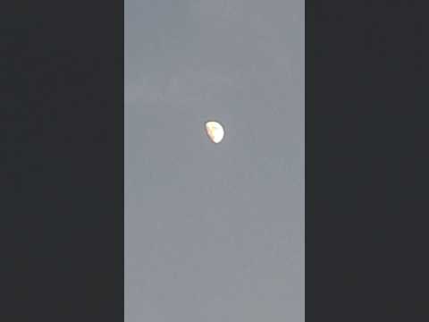 moon 🌙 🌚  video #subscribe  #shorts