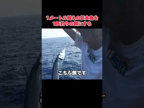 超大物を狙う泳がせ釣りがこちら#釣り#沖縄#泳がせ釣り#ビックゲーム