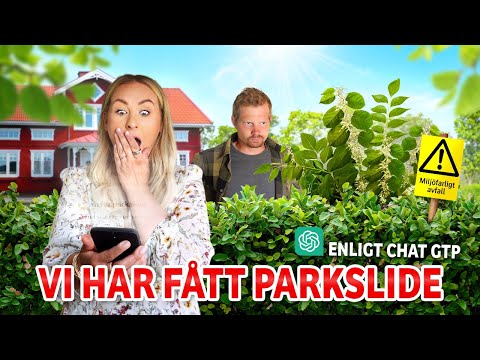 PANIK! Vad gör vi nu?! 💀 | VLOGG #594