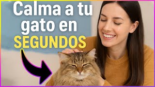 8 TRUCOS Psicológicos Para CALMAR a tu GATO al Instante