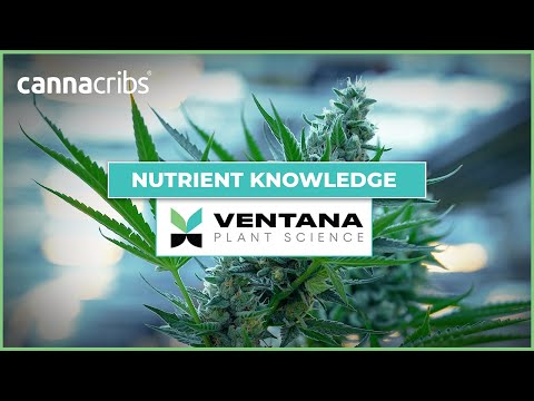 As Seen on Canna Cribs - Nutrient Knowledge with Ventana Plant Science