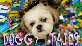 Doggie Tails, Vol. 1: Lucky's First Sleep-Over (2003)| Troma Makes Fun For The Whole Family!