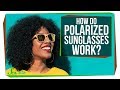 Understanding Polarized Lenses and Light