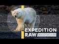 Wildlife Interaction and Observation