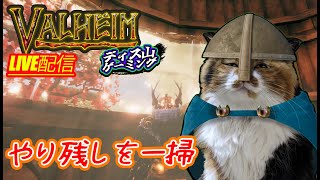 【Valheim】ダーンウィンまであと一歩!!!【土用屋根の日】