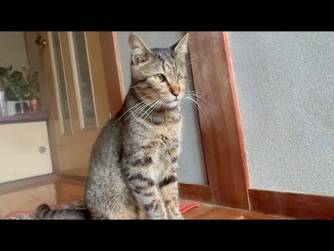 あいつだけには負けられん