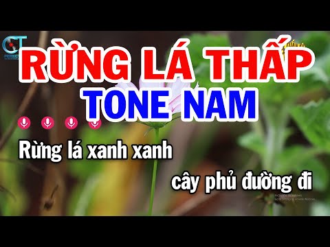 Karaoke Rừng Lá Thấp Tone Nam ( Bbm ) Nhạc Sống Hay | Karaoke Tuấn Kiệt