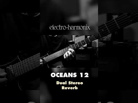 EHX Oceans 12 Dual Stereo Reverb Pedal Demo