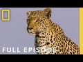 Wildlife and Ecosystem Dynamics in the Okavango Delta