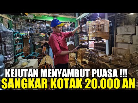 GREBEK ! TEMPAT JUAL SANGKAR MURAH HARI INI JUALNYA CUMA 20.000 AN DIKIOS FORTUNA SANGKAR PB PRAMUKA