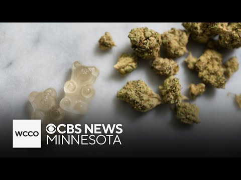 YouTube video thumbnail: Twin Cities Residents can now buy Recreational Cannabis as Dispensaries Open for Business