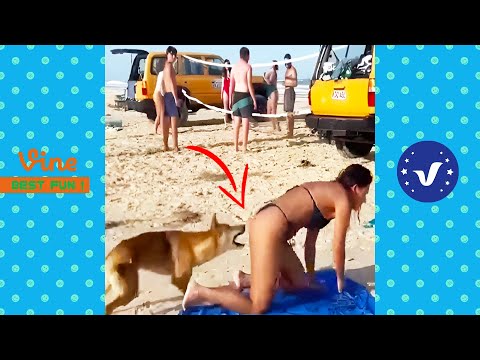 Funniest People Funny Videos 2025 That Will Make You Laugh To Tear 😂 Part 4