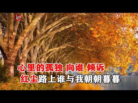 笑天   痴情的人会迷路   MTV