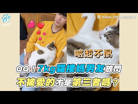 【QQ！7kg貓摟媽男友放閃 不被愛的才是第三者嗎？】｜TikTok / mibao_faftat