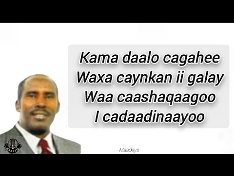 HEES | Cadawgii Haweenka | Cabdalla Yuusuf Hanuuniye | Original + lyrics