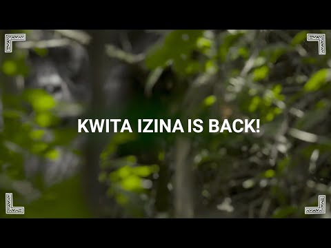 Kwita Izina is back!