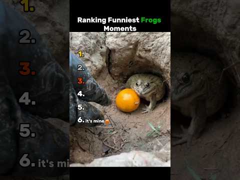Ranking Best Frogs🐸