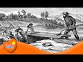 Gold Rush Concepts and Impacts