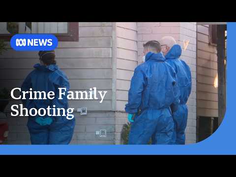 Relative of Alameddine crime family fighting for life after Sydney shooting | ABC NEWS